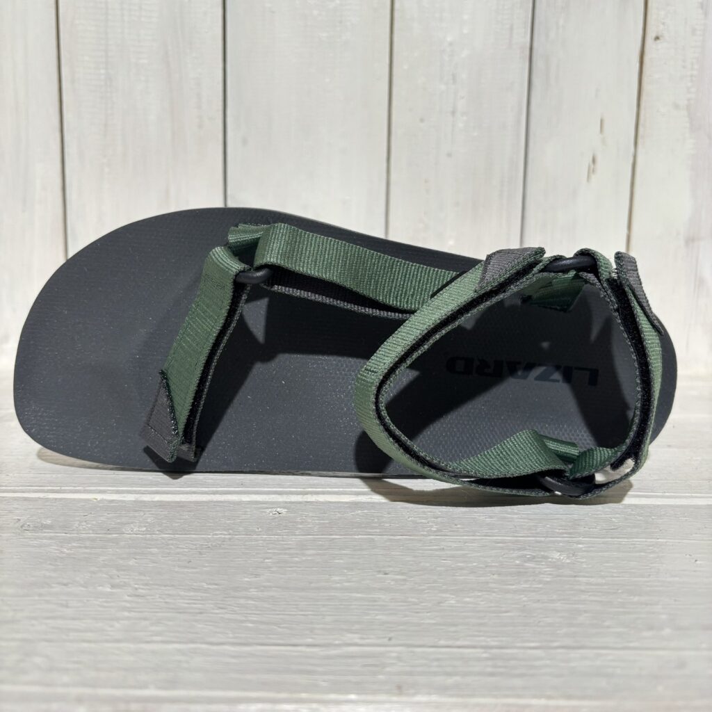 Lizard Liz Sandal HIKE 2 M