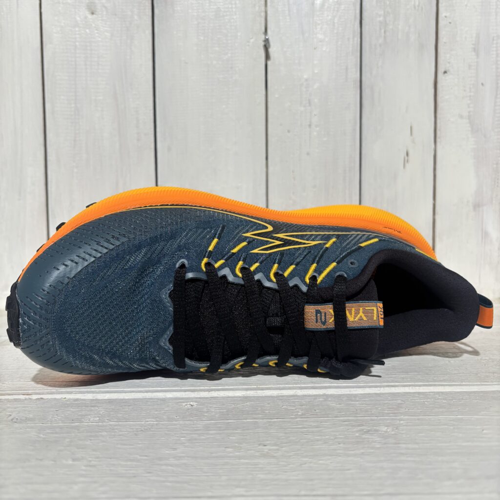 Lynx 2 M
